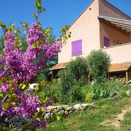 Le Gite De Cristal Proche Bugarach Granes エクステリア 写真