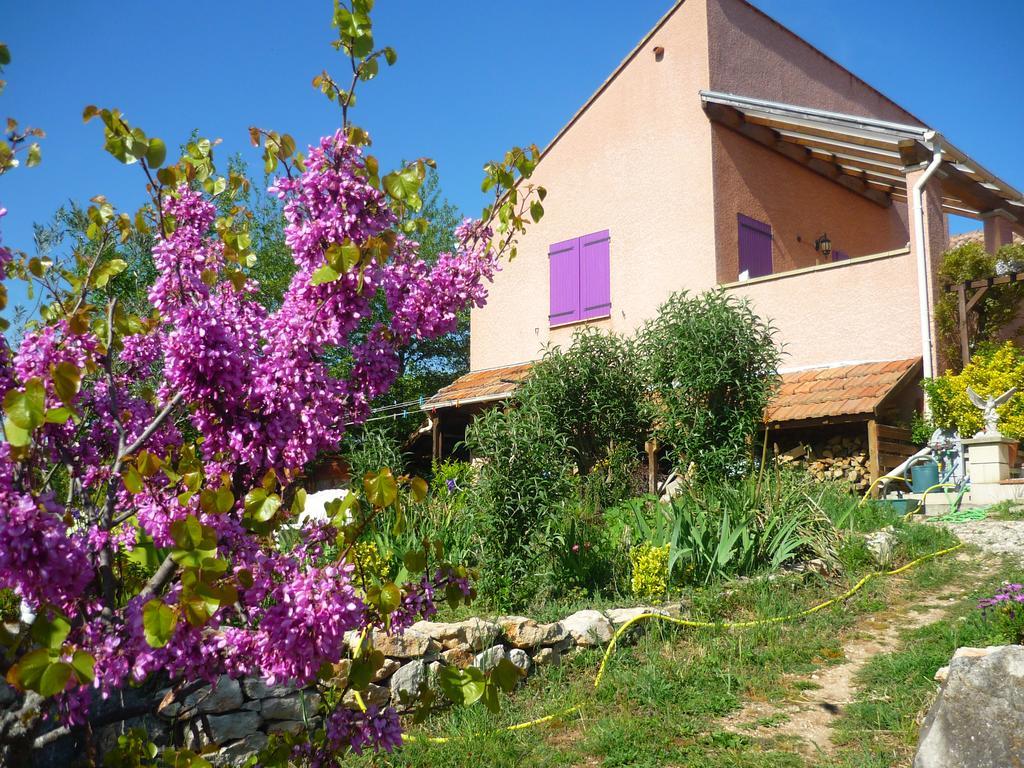 Le Gite De Cristal Proche Bugarach Granes エクステリア 写真