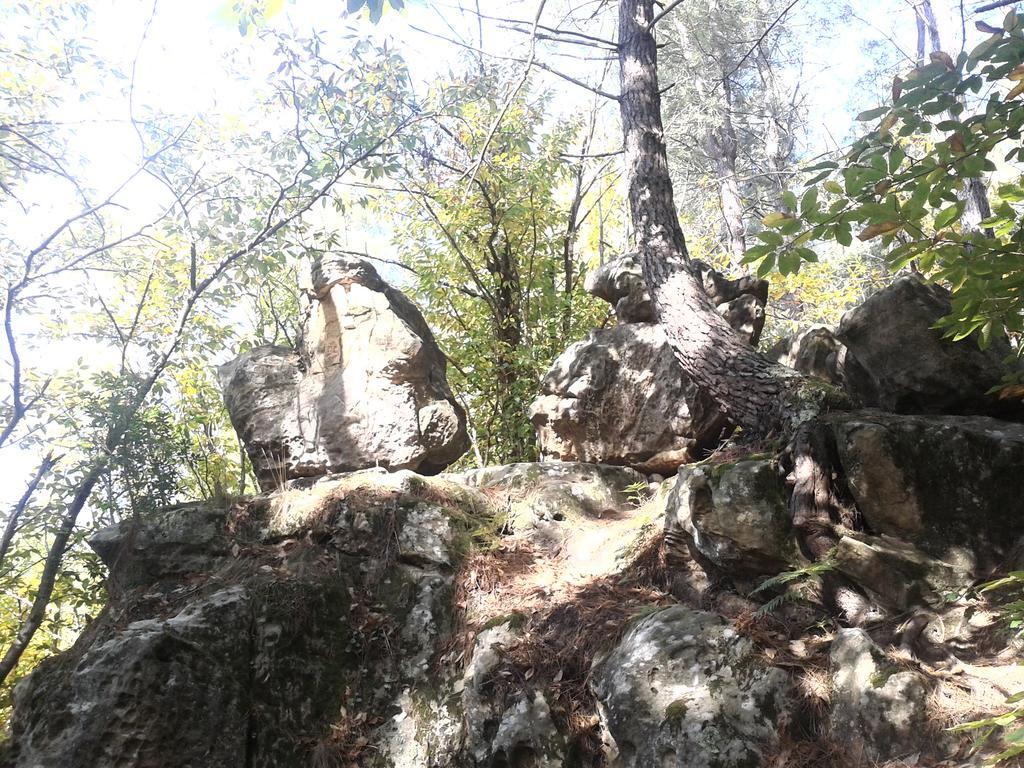 Le Gite De Cristal Proche Bugarach Granes エクステリア 写真