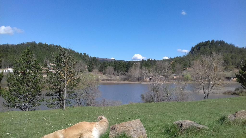 Le Gite De Cristal Proche Bugarach Granes エクステリア 写真