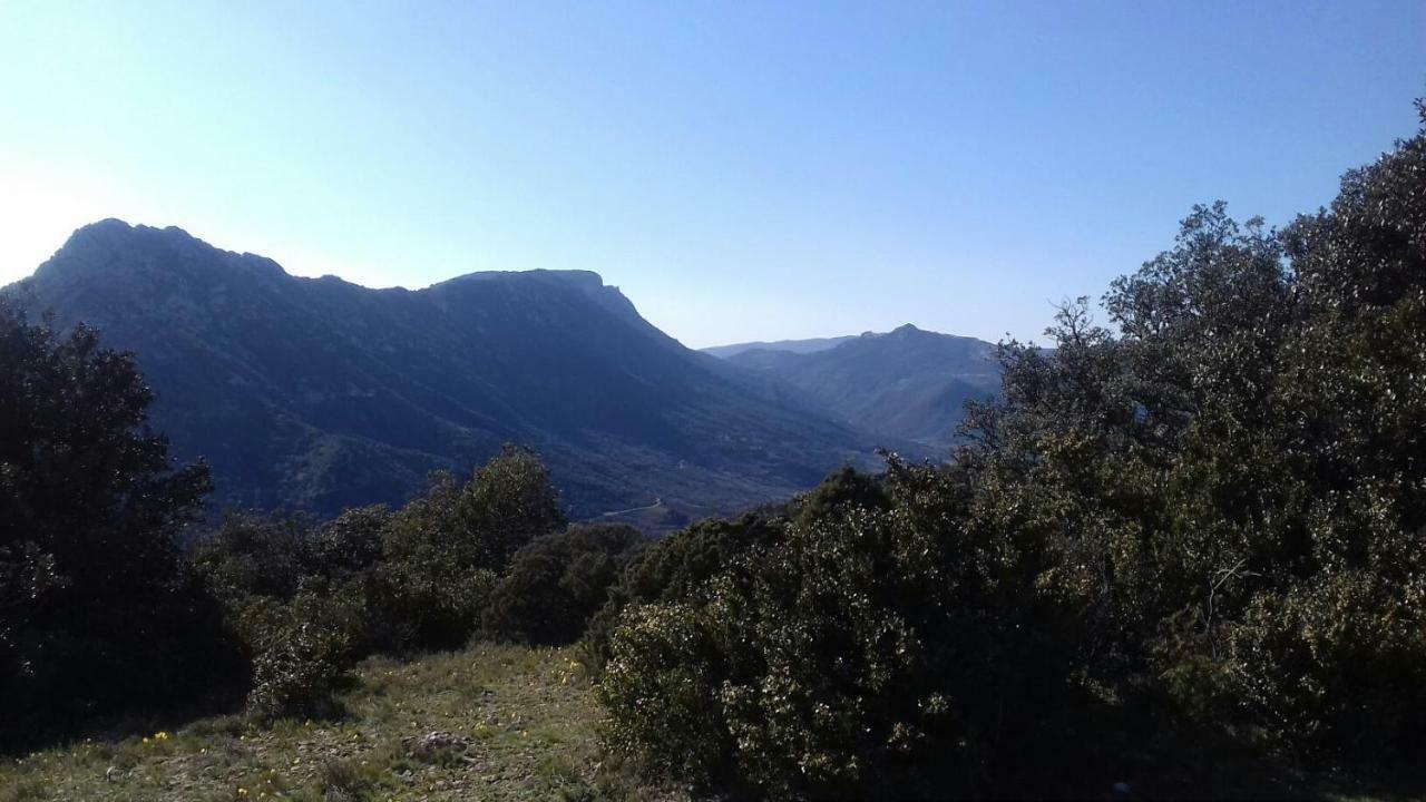 Le Gite De Cristal Proche Bugarach Granes エクステリア 写真